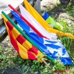 1ds_5965