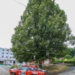 1ds_8172