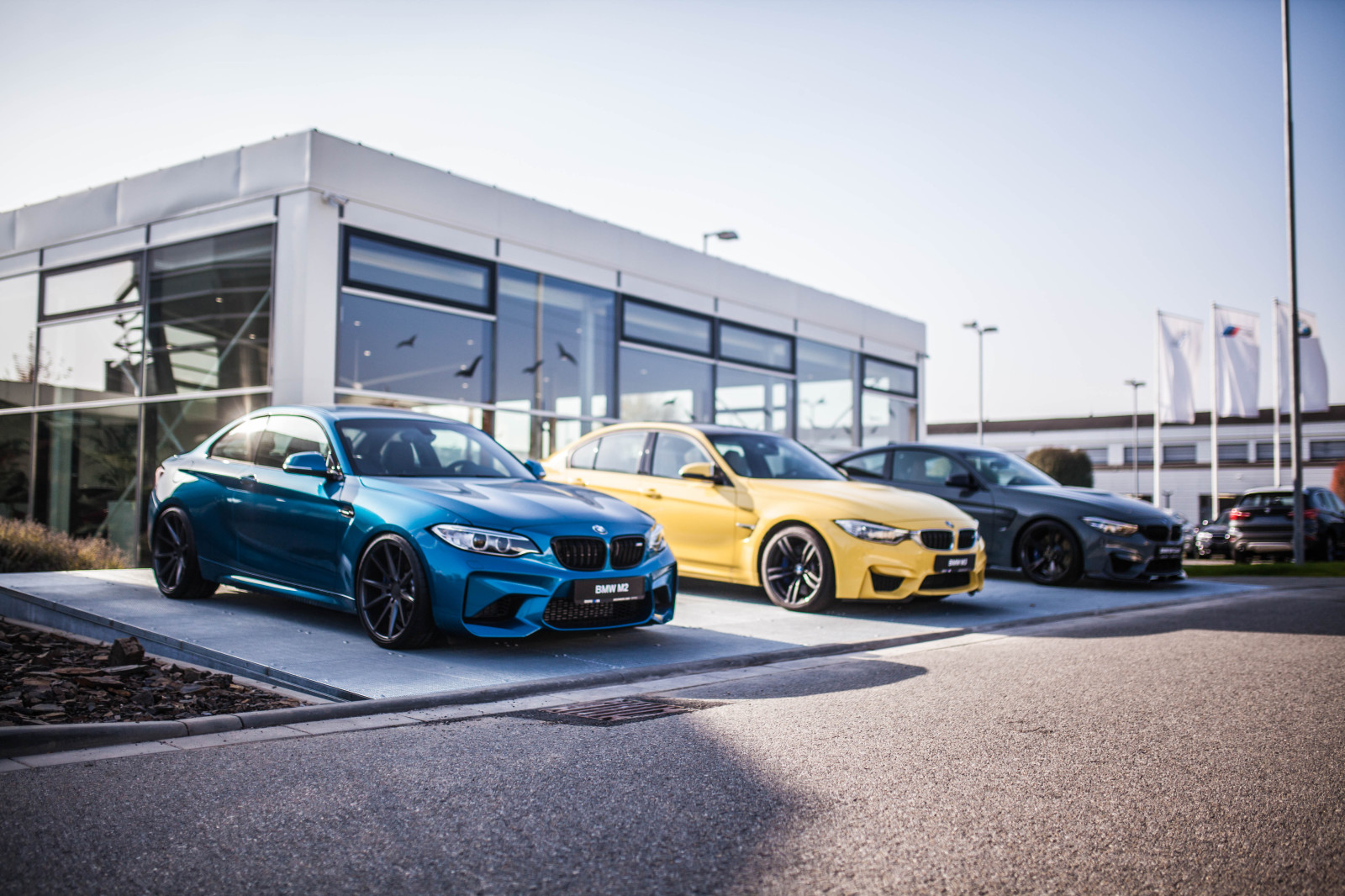 p90286156_highres_new-renocar-showroom