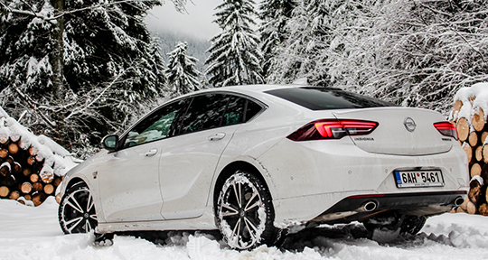insignia5
