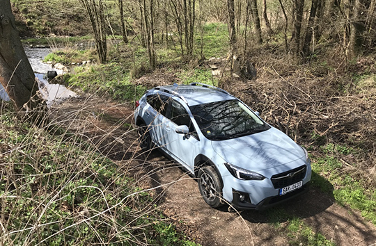 xv4