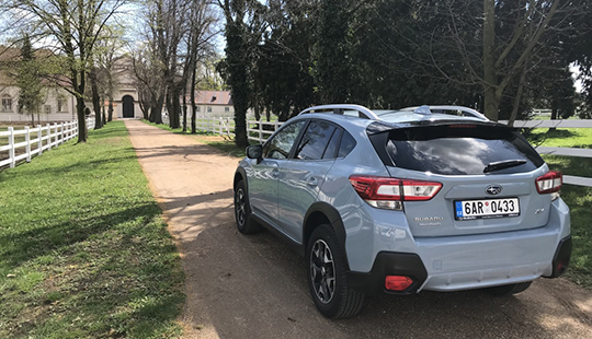 xv5