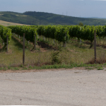 img_3223-pano