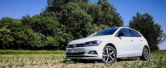 polo2