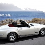 177237a5-mitsuoka-rock-star-6