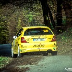 1ds_6518