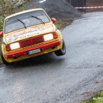 1ds_7173