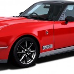 360d9e48-mitsuoka-rock-star-3