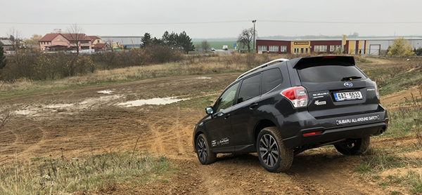 forester1