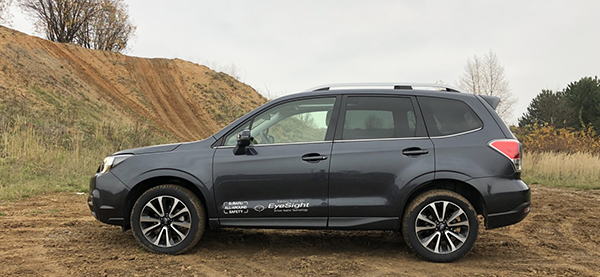 forester3