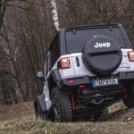3_jeep-bela-p-bezdezem_34