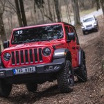 3_jeep-bela-p-bezdezem_37