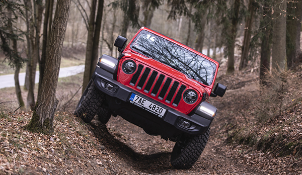 wrangler5