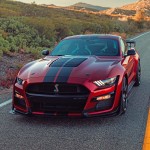 ford_shelby_gt500_205_5c3cb1ecc2d99