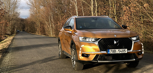 ds6
