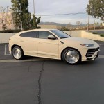 53221697_247440452800260_4287049158717603840_n