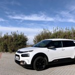 citroen-cactus-origins-10