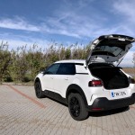 citroen-cactus-origins-4