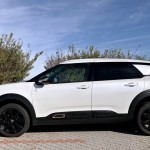 citroen-cactus-origins-6