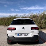 citroen-cactus-origins-8