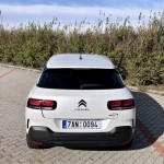 citroen-cactus-origins-9