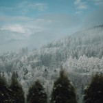 dma_9832