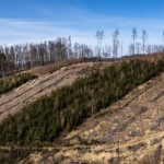 img_0948-pano