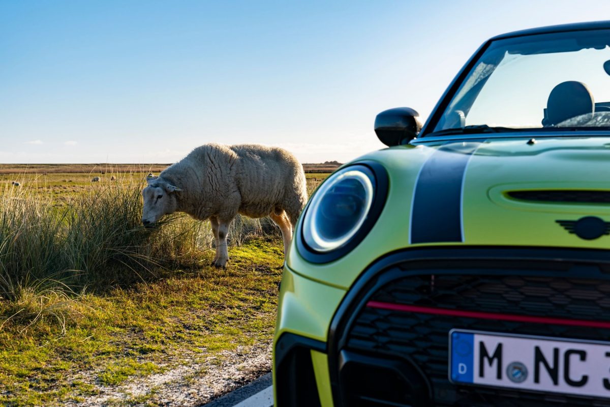 mini-jcw-2021-lci-5