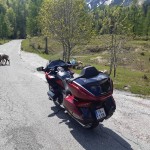 honda-gl-1800-gold-wing-tour-20