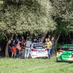 barum-rally-2021-11