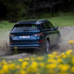 skoda_kodiaq_dpl_91
