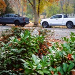 mgr_images_gm20211114_025