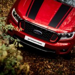 mgr_images_gm20211115_039