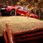mgr_images_gm20211115_041