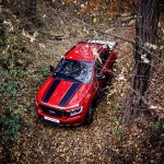 mgr_images_gm20211115_046