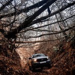 mgr_images_gm20211115_075