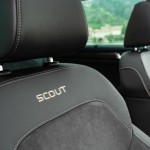 superb_scout_42