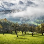 cr6_0782-pano