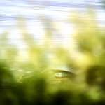 pcee22_1715