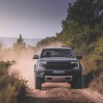 raptor_conquer_grey_068
