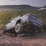raptor_conquer_grey_071