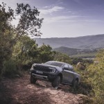 raptor_conquer_grey_075