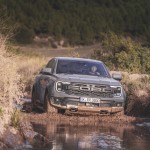 raptor_conquer_grey_080