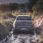raptor_conquer_grey_081