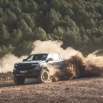 raptor_conquer_grey_082