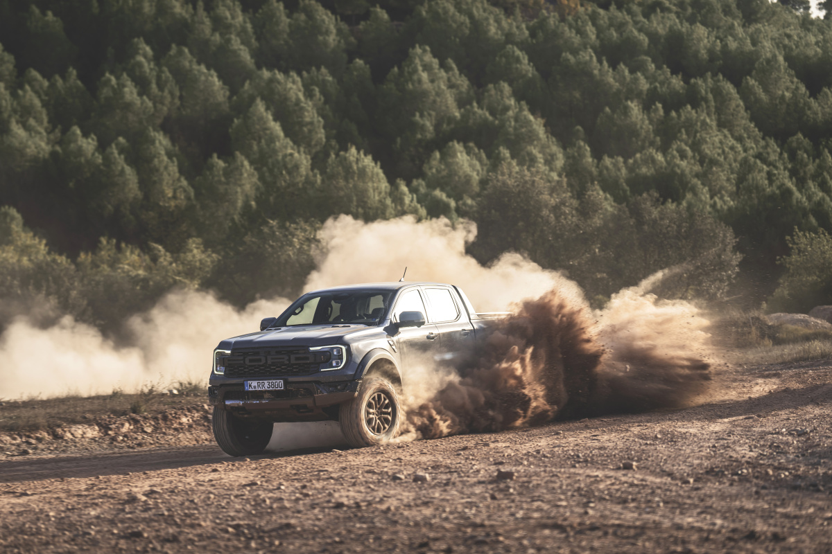 raptor_conquer_grey_082