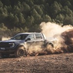 raptor_conquer_grey_083