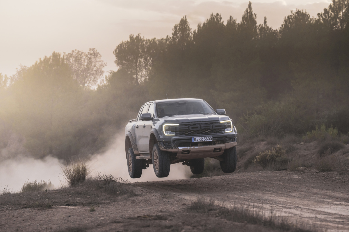 raptor_conquer_grey_096