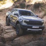 raptor_conquer_grey_098