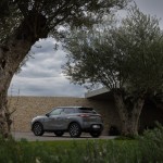 _68a8129greg-jongerlynk